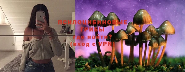 ALPHA-PVP Алексеевка