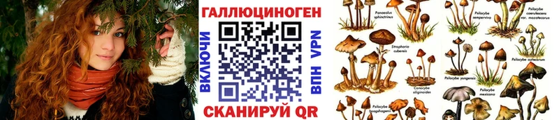 blacksprut ССЫЛКА  Пласт  Псилоцибиновые грибы Psilocybine cubensis 